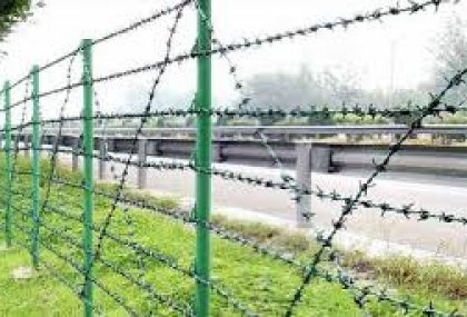 DİKENLİ &Ccedil;İT